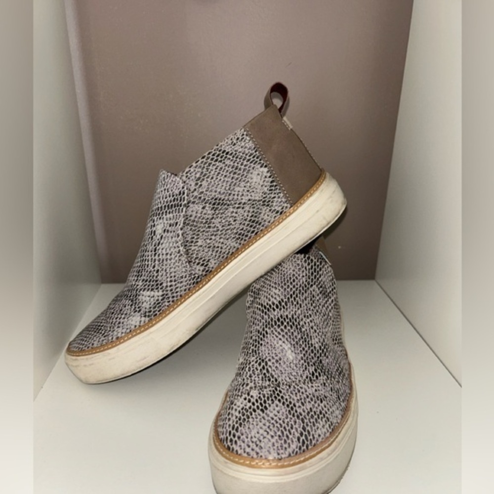 Toms Gray and Brown Sneakers with Snakeskin Print